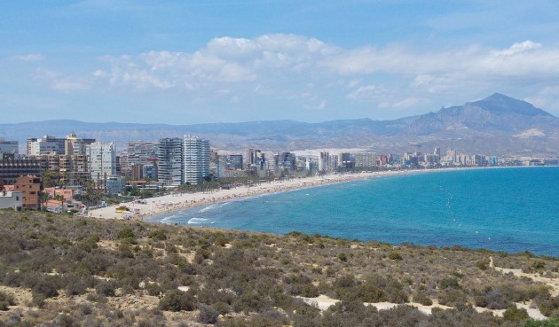 Nowy budynek - Mieszkanie w bloku - San Juan Alicante - Franc Espinós