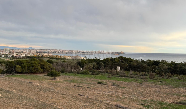 Odsprzedaż - Daszek - Torrevieja - Punta Prima