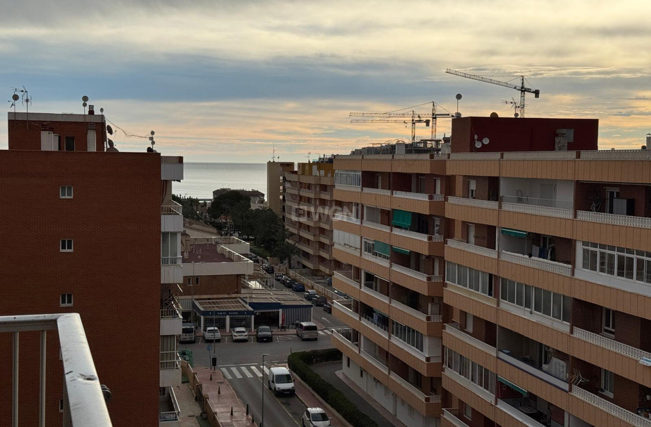 Odsprzedaż - Daszek - Torrevieja - Punta Prima