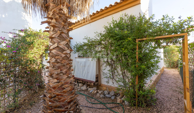 Odsprzedaż - Villa - Guardamar del Segura - Costa Blanca