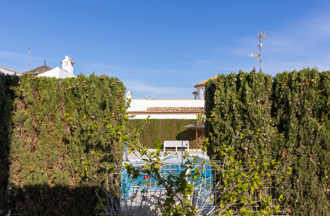 Odsprzedaż - Villa - Guardamar del Segura - Costa Blanca