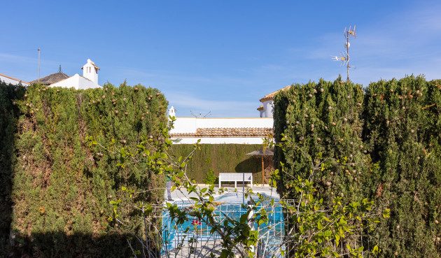 Odsprzedaż - Villa - Guardamar del Segura - Costa Blanca