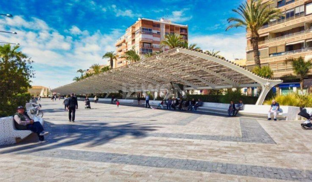 Obra nueva - Ático - Torrevieja - Habaneras