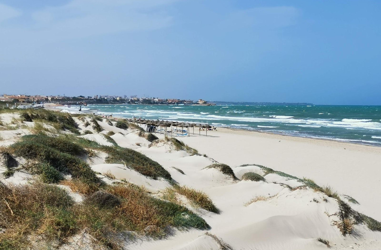 New Build - Villa - Pilar de la Horadada