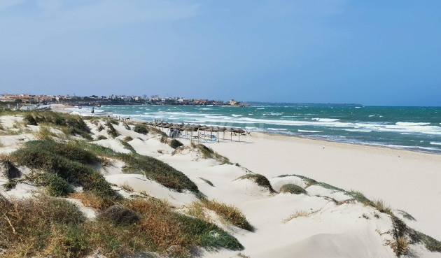 New Build - Villa - Pilar de la Horadada