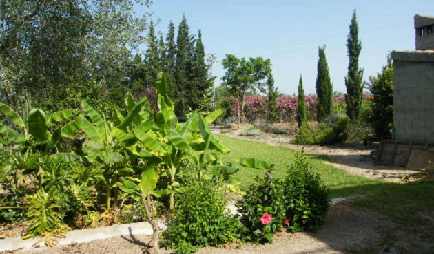 Resale - Country House - Daya Nueva - Costa Blanca