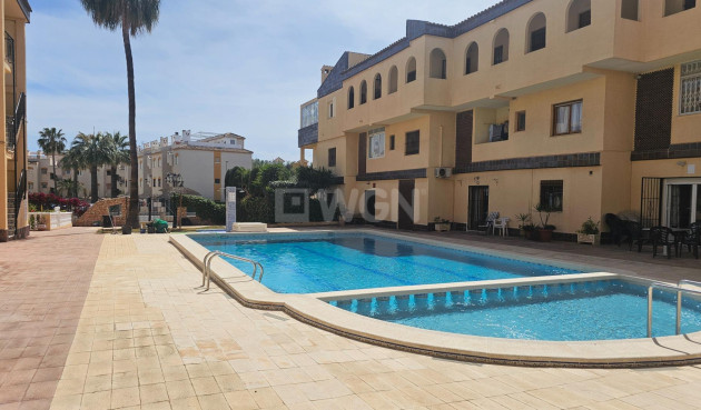 Reventa - Apartamento / piso - Torrevieja - Punta Prima