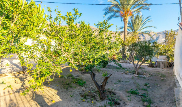 Reventa - Finca - Orihuela - Raiguero De Bonanza