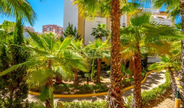 Resale - Apartment / flat - Torrevieja - Costa Blanca