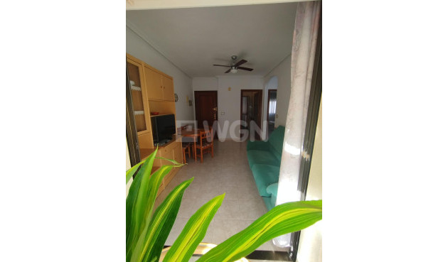 Resale - Apartment / flat - Lo Pagan - LO PAGAN