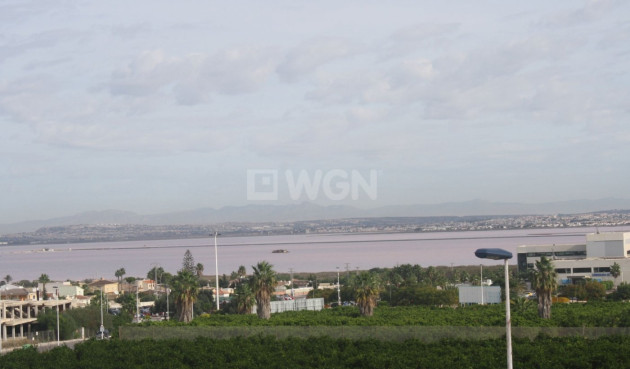 Nowy budynek - Kamienica - Torrevieja - Los Altos