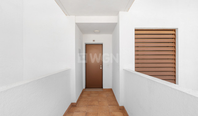 Reventa - Apartamento / piso - Torrevieja - Costa Blanca