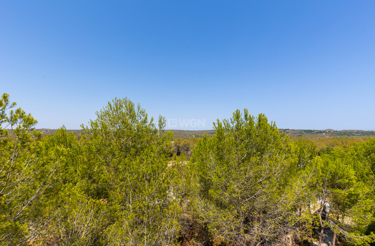 Reventa - Ático - Torrevieja - Costa Blanca