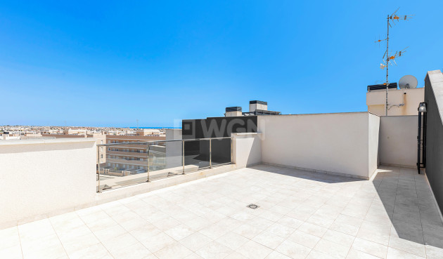 Resale - Penthouse - Torrevieja - Costa Blanca