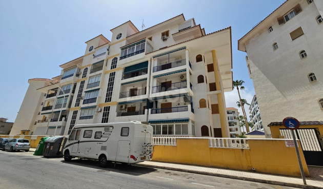 Resale - Penthouse Penthouse - La Mata - Costa Blanca