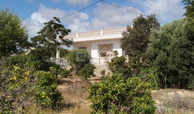 Resale - Country House - La Marina - Costa Blanca