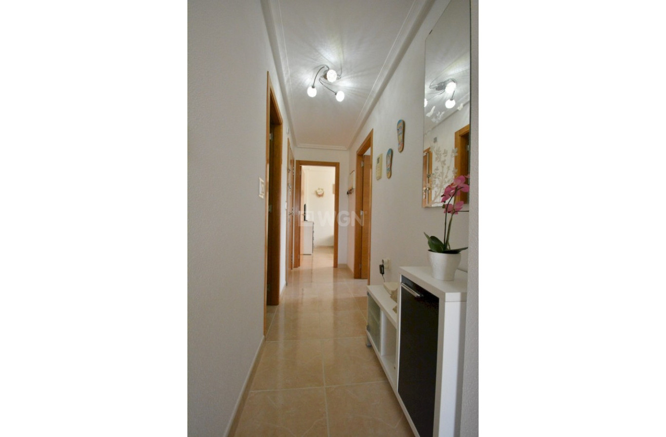 Resale - Apartment / flat - Guardamar del Segura - Costa Blanca