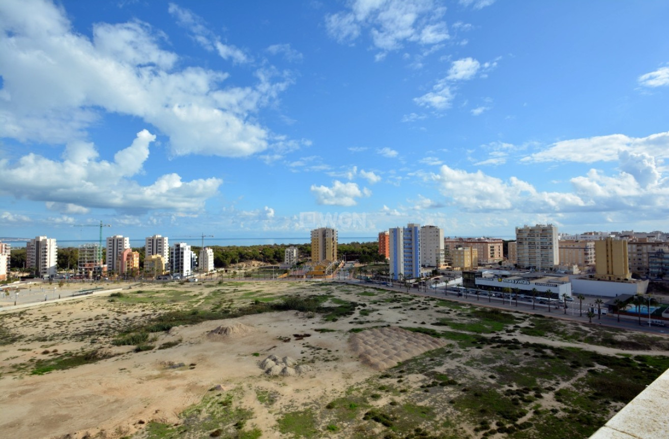 Resale - Apartment / flat - Guardamar del Segura - Costa Blanca