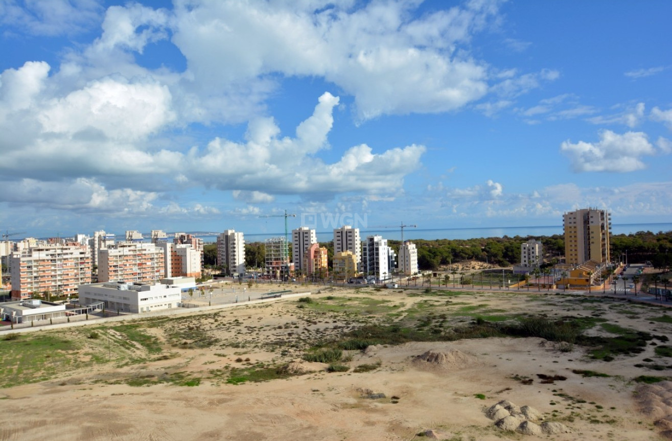 Resale - Apartment / flat - Guardamar del Segura - Costa Blanca