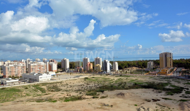 Resale - Apartment / flat - Guardamar del Segura - Costa Blanca