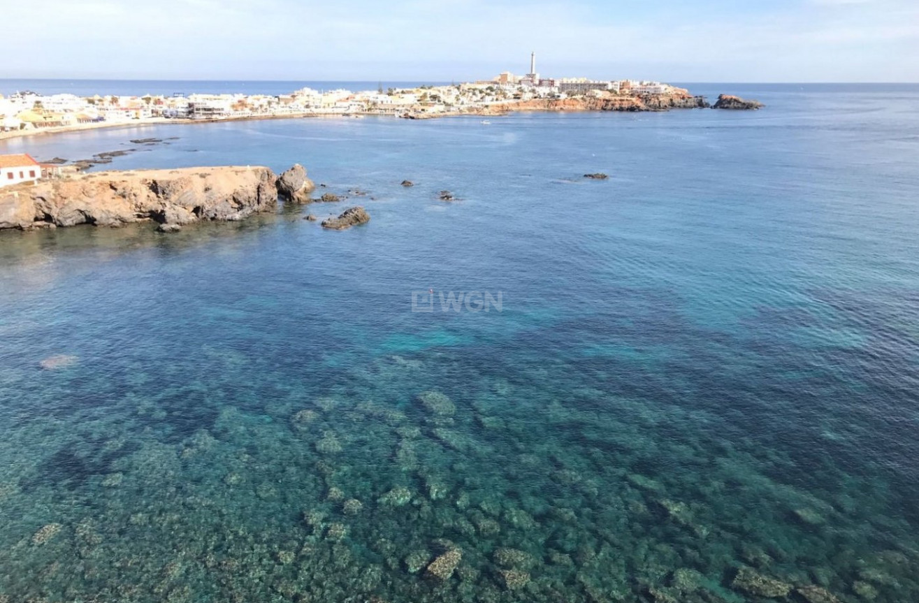 Nowy budynek - Villa - Cabo de Palos - Cala Medina