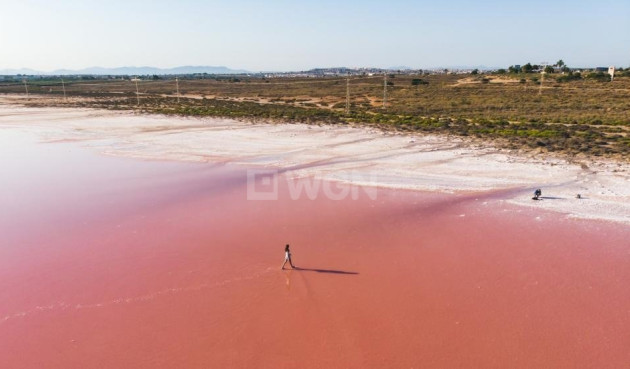 Nowy budynek - Villa - Torrevieja - Aguas Nuevas 1