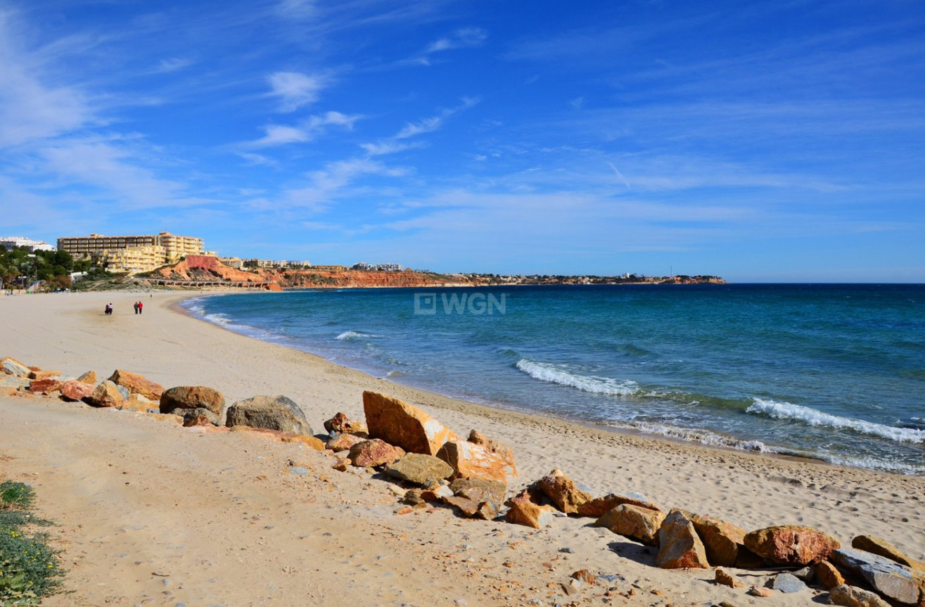 Nowy budynek - Villa - Orihuela Costa - Campoamor