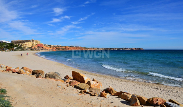 Obra nueva - Villa - Orihuela Costa - Campoamor