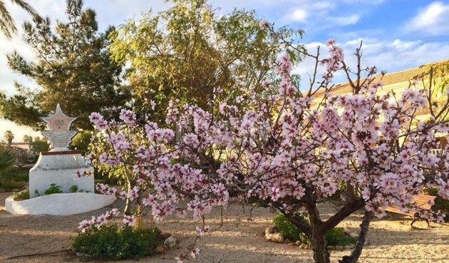 Nowy budynek - Villa - Los Urrutias - Estrella De Mar