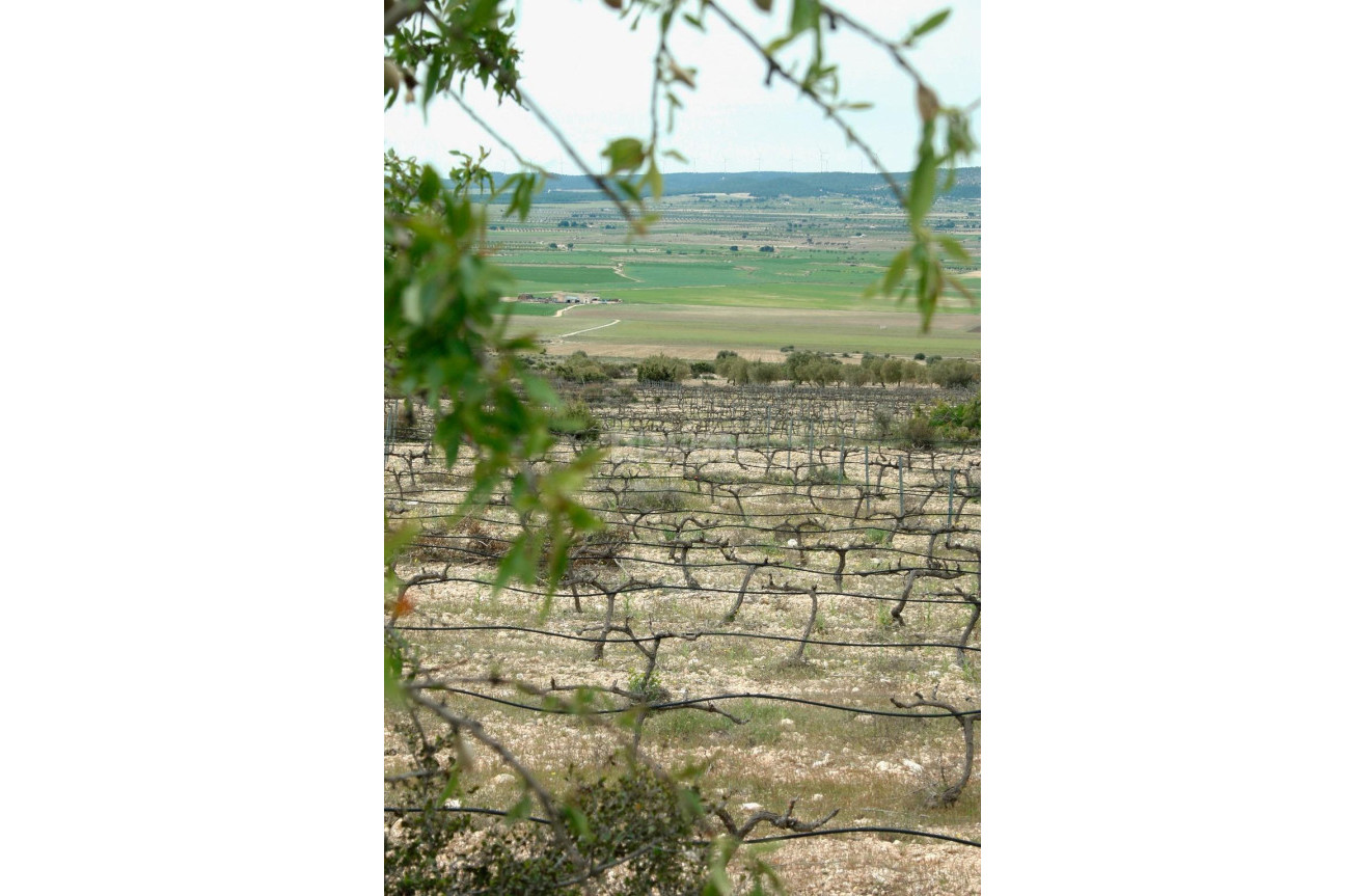 Nowy budynek - Villa - Yecla