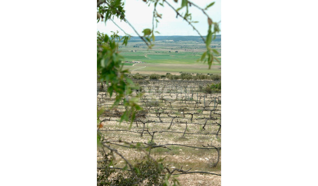 Nowy budynek - Villa - Yecla