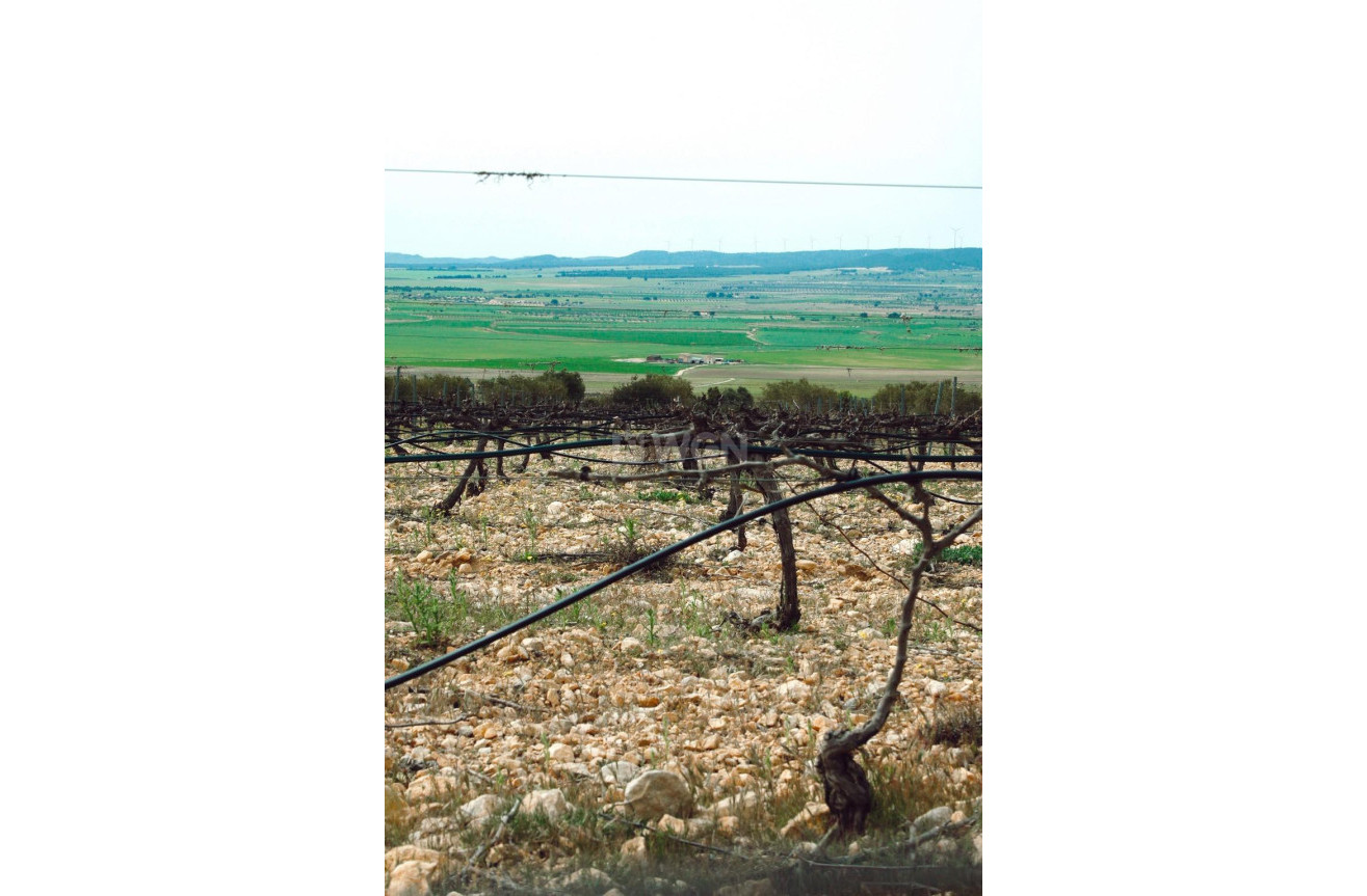 Nowy budynek - Villa - Yecla