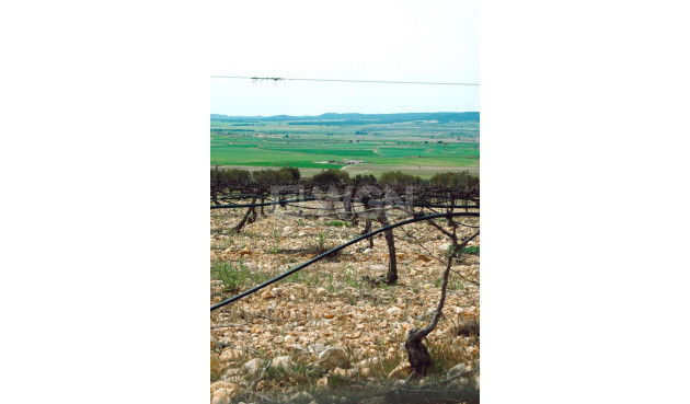 Nowy budynek - Villa - Yecla