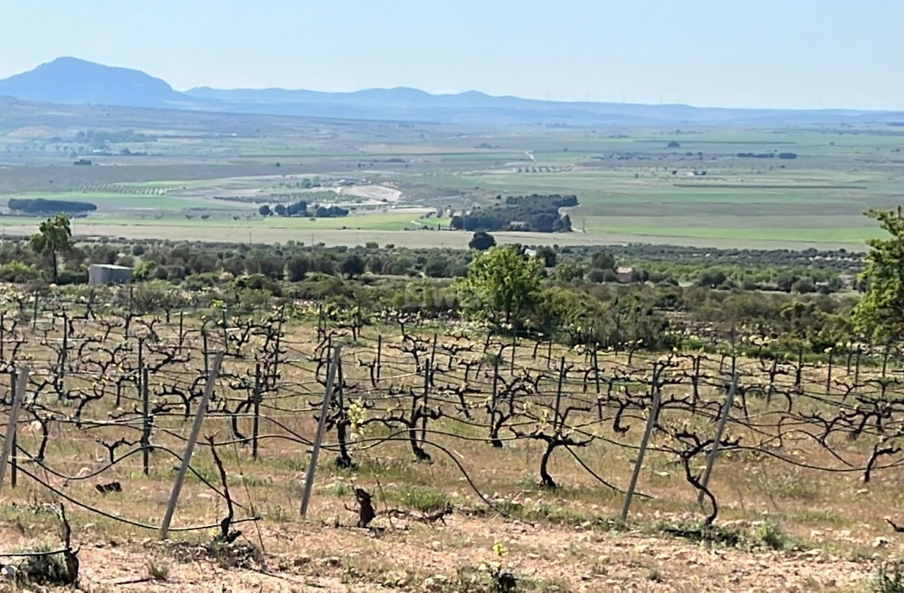 Nowy budynek - Villa - Yecla