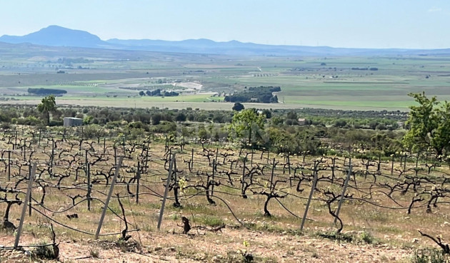 Nowy budynek - Villa - Yecla