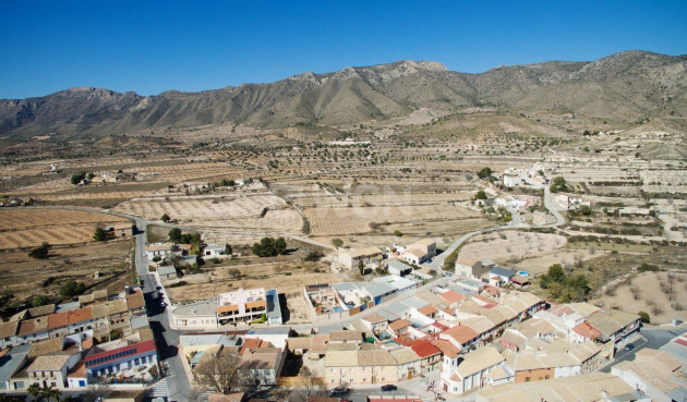 Nowy budynek - Bungalow - Hondón de las Nieves - Canalosa