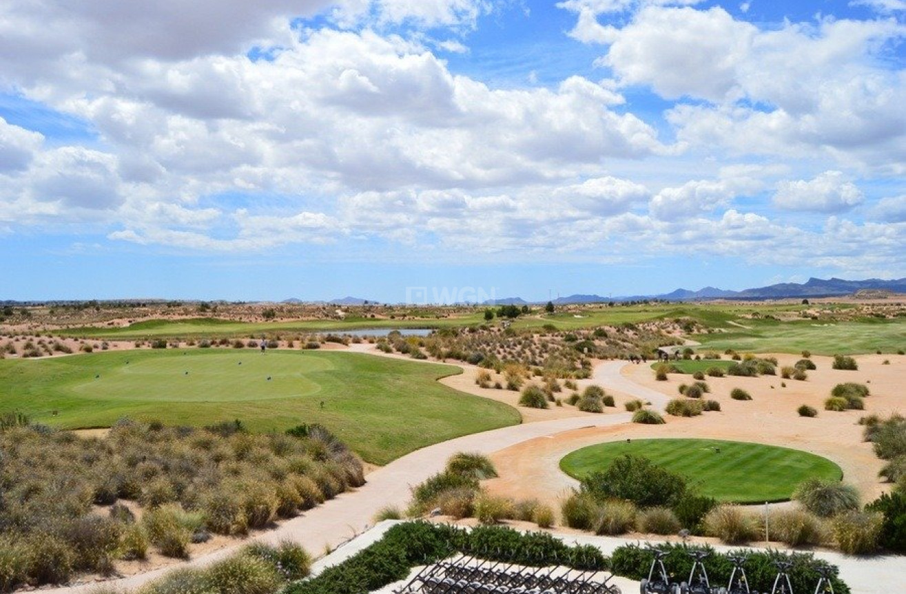 Nowy budynek - Villa - Alhama De Murcia - Condado De Alhama Golf Resort