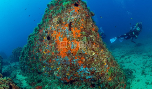 Nowy budynek - Daszek - Aguilas - Isla Del Fraile