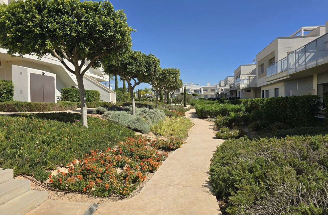 Resale - Penthouse - Vistabella Golf Entre Naranjos