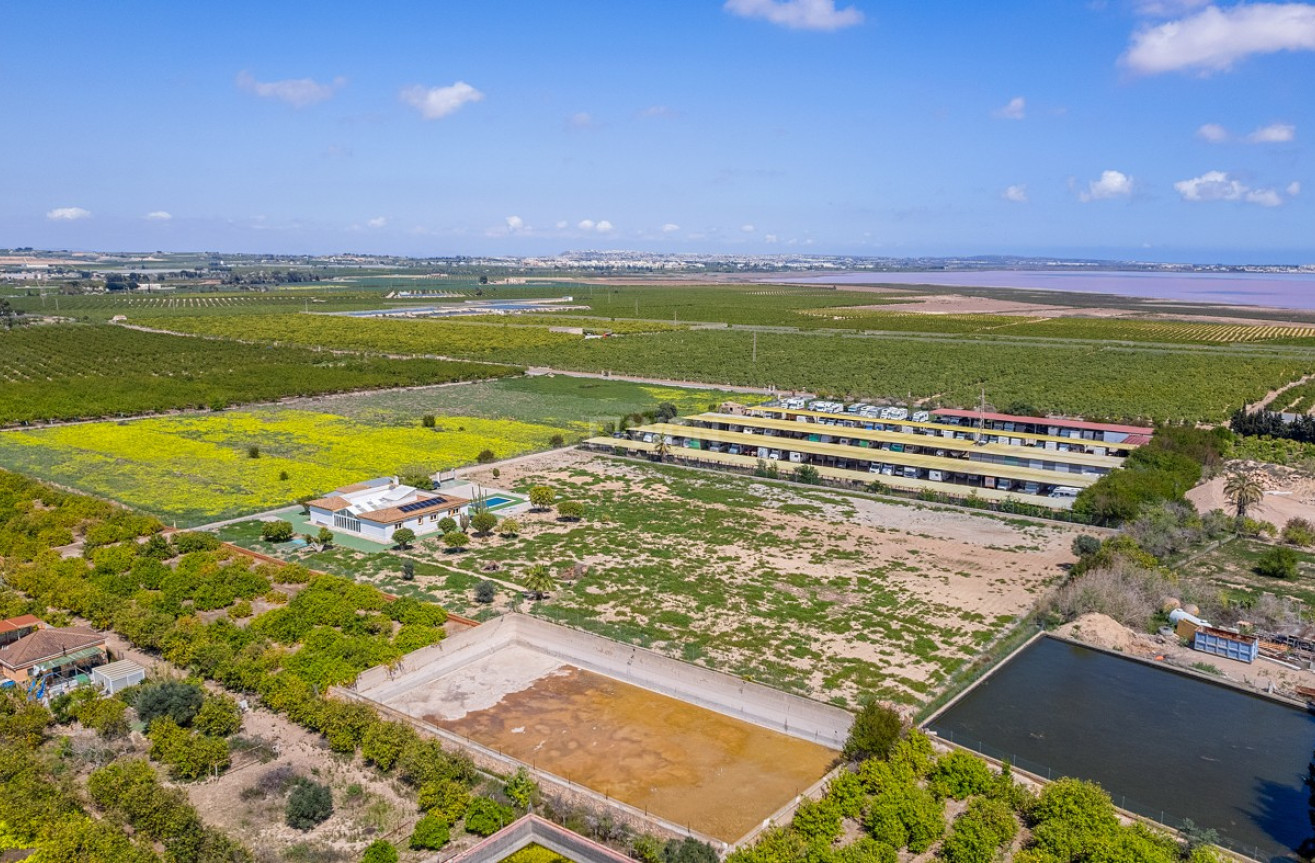 Wiederverkauf - Villa - Los Montesinos - Costa Blanca