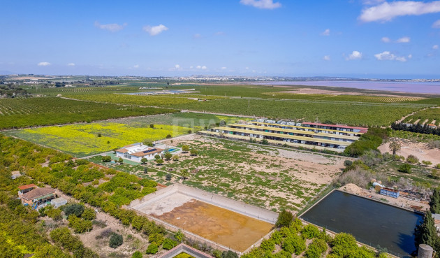 Wiederverkauf - Villa - Los Montesinos - Costa Blanca