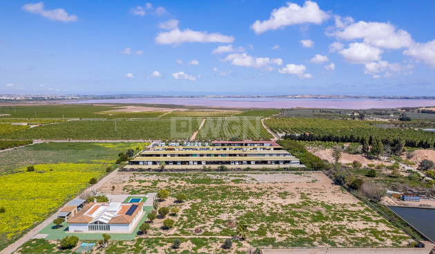 Wiederverkauf - Villa - Los Montesinos - Costa Blanca