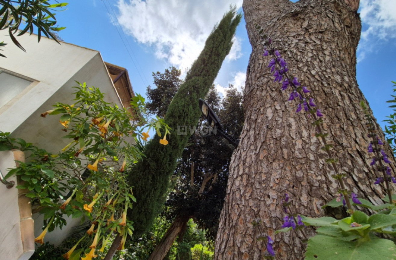 Odsprzedaż - Villa - Torrevieja - Costa Blanca