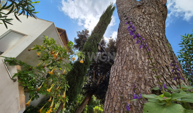 Odsprzedaż - Villa - Torrevieja - Costa Blanca