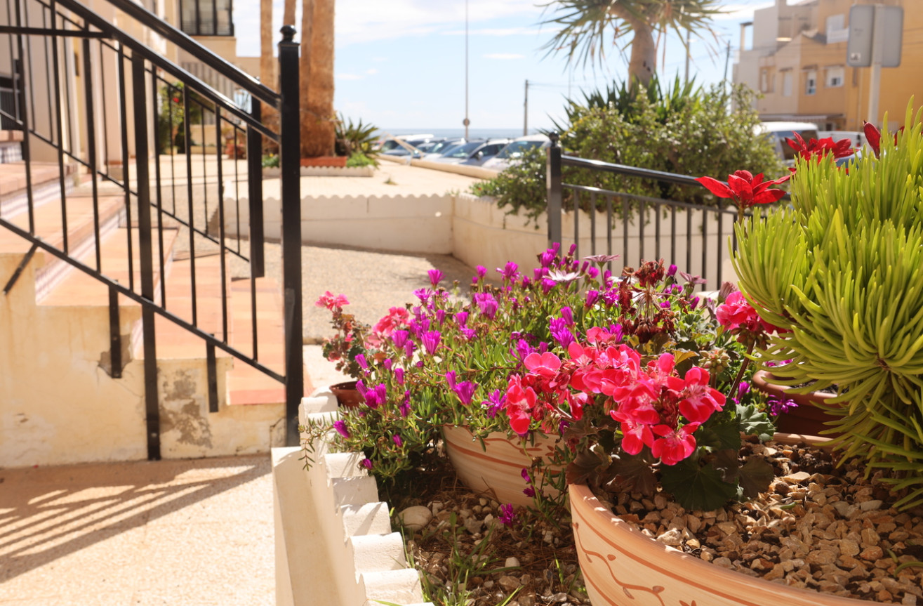 Wiederverkauf - Wohnung - Torrevieja - La Veleta - Mar Azul