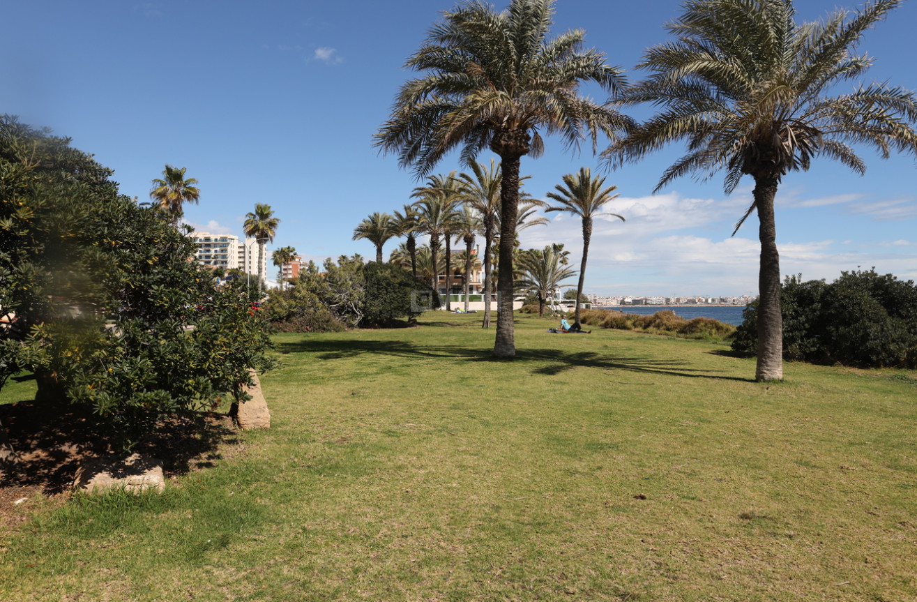 Wiederverkauf - Wohnung - Torrevieja - La Veleta - Mar Azul