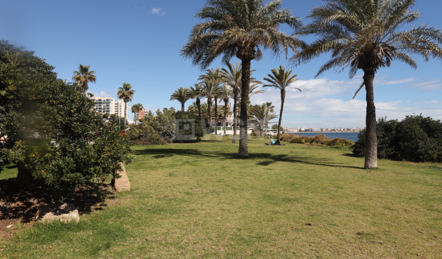 Wiederverkauf - Wohnung - Torrevieja - La Veleta - Mar Azul
