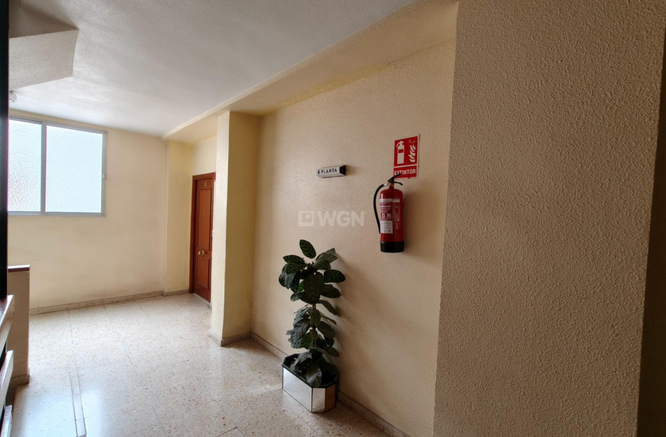 Wiederverkauf - Wohnung - Torrevieja - Centro