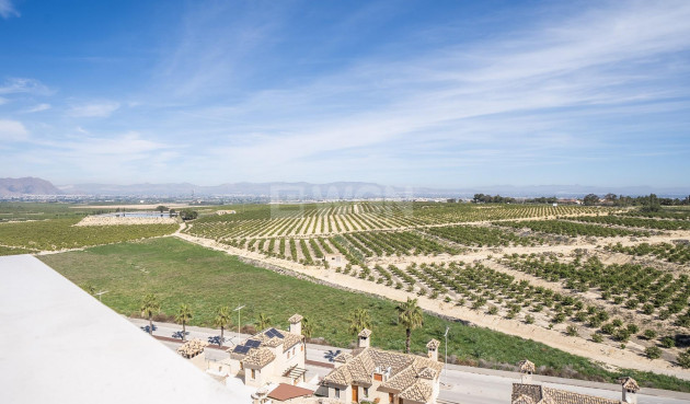 Neue Gebäude - Villa - Algorfa - La Finca Golf