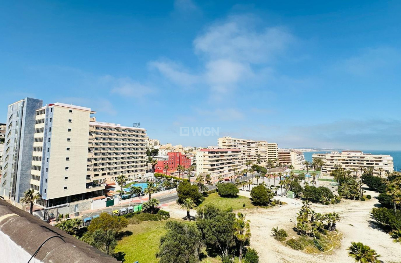 Wiederverkauf - Wohnung - Torrevieja - Cabo Cervera